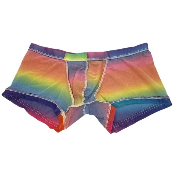 Men’s PRIDE Colors Polyester Mesh Small Boxer Briefs See Through Low Rise NWOT - Picture 7 of 13